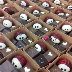 Cadeau invité mariage en chocolat Carhaix